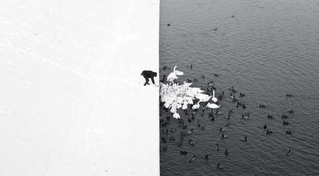 a-man-feeding-swans-in-the-snow-nga-marcin-ryczek