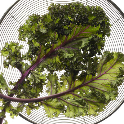 Two leafes of kale on strainer against white background, overhead view