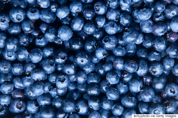 Freshly collected blueberries