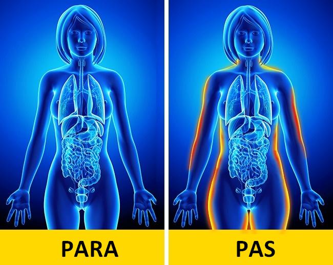 para-pas