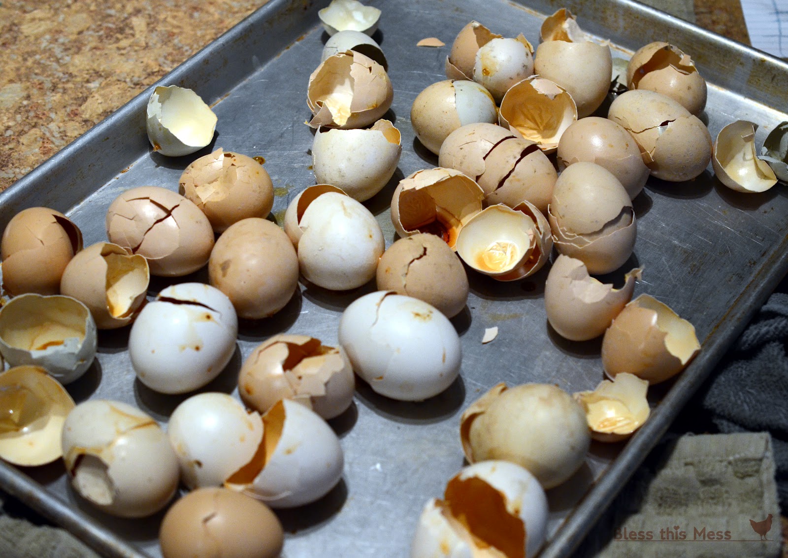 egg-shells-for-chickens-oyster-shells2