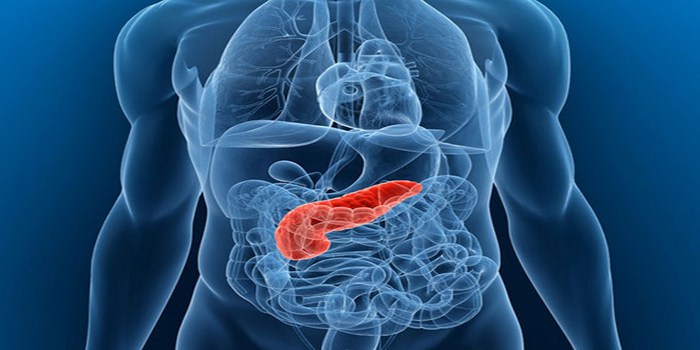 pancreatic-cancer