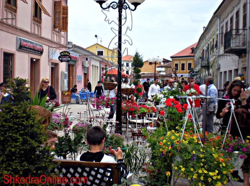 shkodra