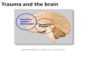 trauma-and-the-brain