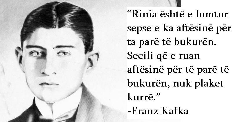 kafka-photo-crop-jpg-824x0_q71_crop-scale