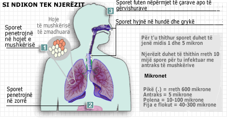 si-ndikon-te-njerezit