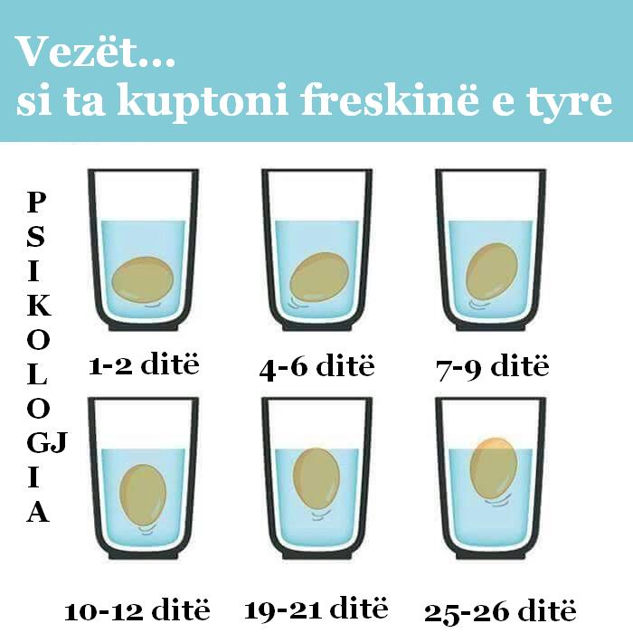 vezet-si-ta-kuptosh-freskine-e-tyre