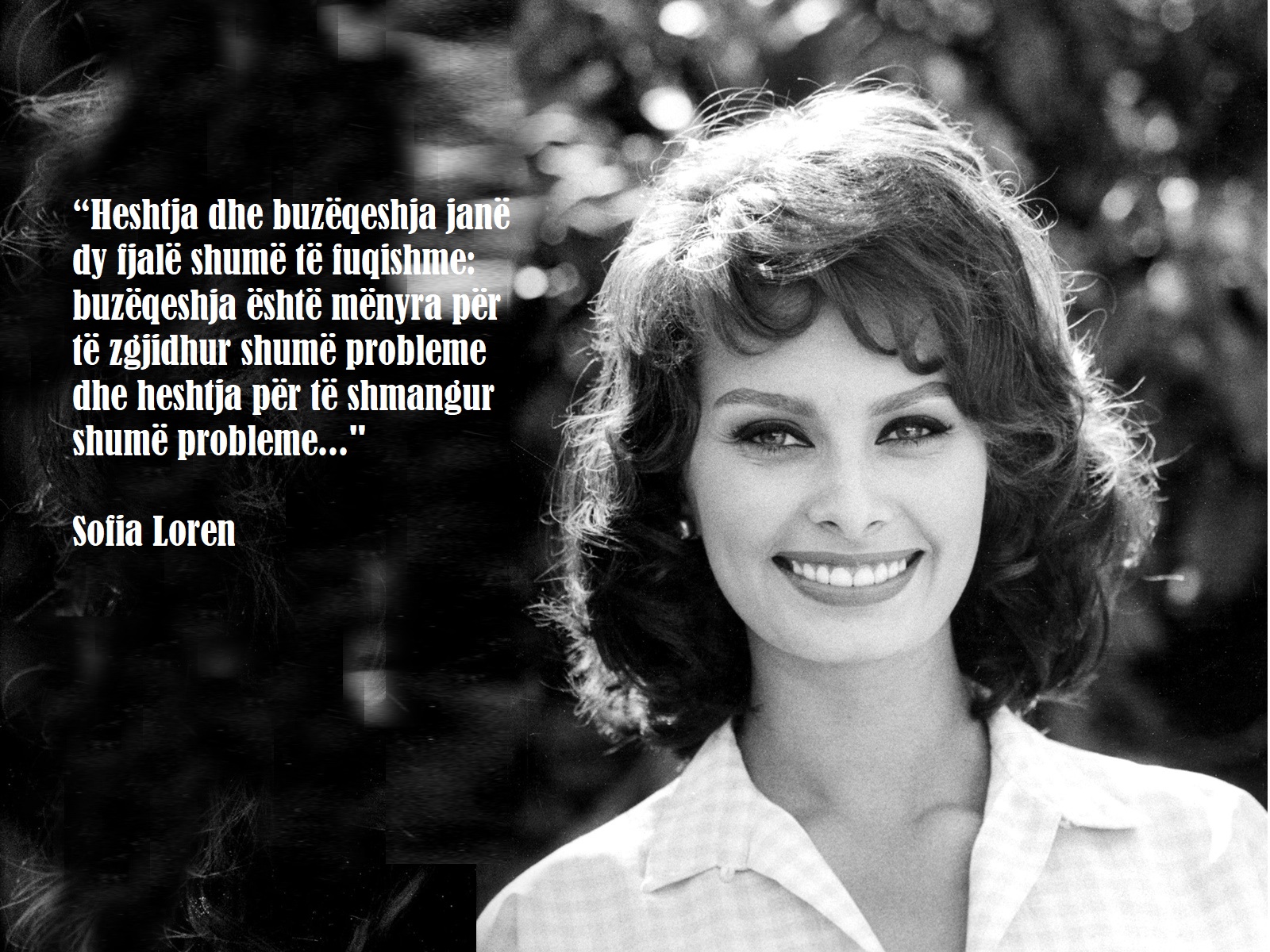 Sophia Loren Wallpapers @ go4celebrity.com