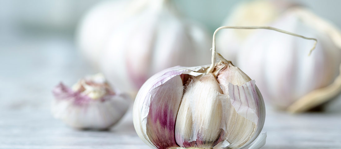 how-aged-garlic
