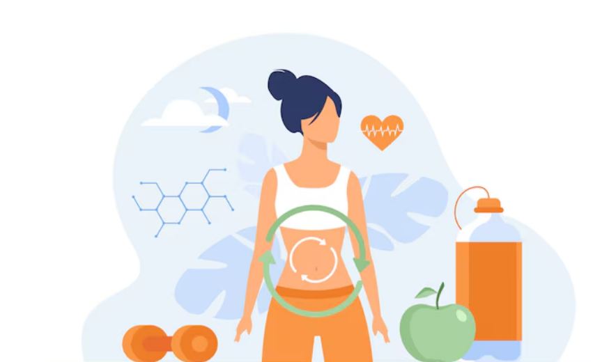 metabolizem-i-ulet