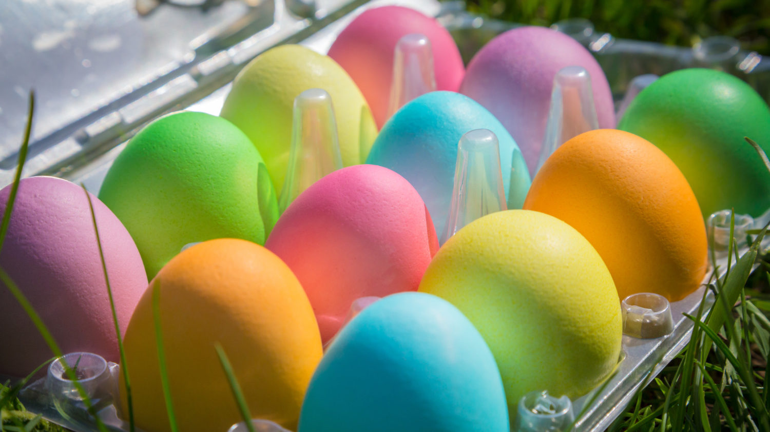 bright colorful easter eggs in disposable plastic tray on green grass