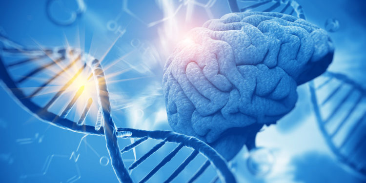 dna-brain-750x375