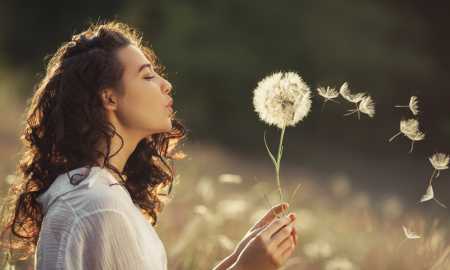 Beautiful Young Woman Blows Dandelion in a Wheat field in the Summer Sunset. Beauty Summer Concept