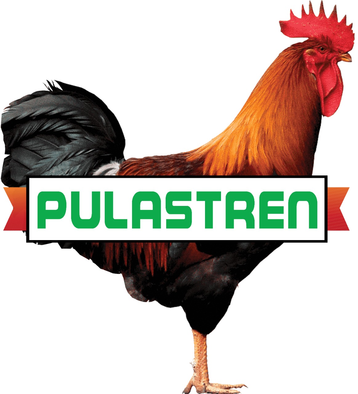 pulastreni-qershor-2023