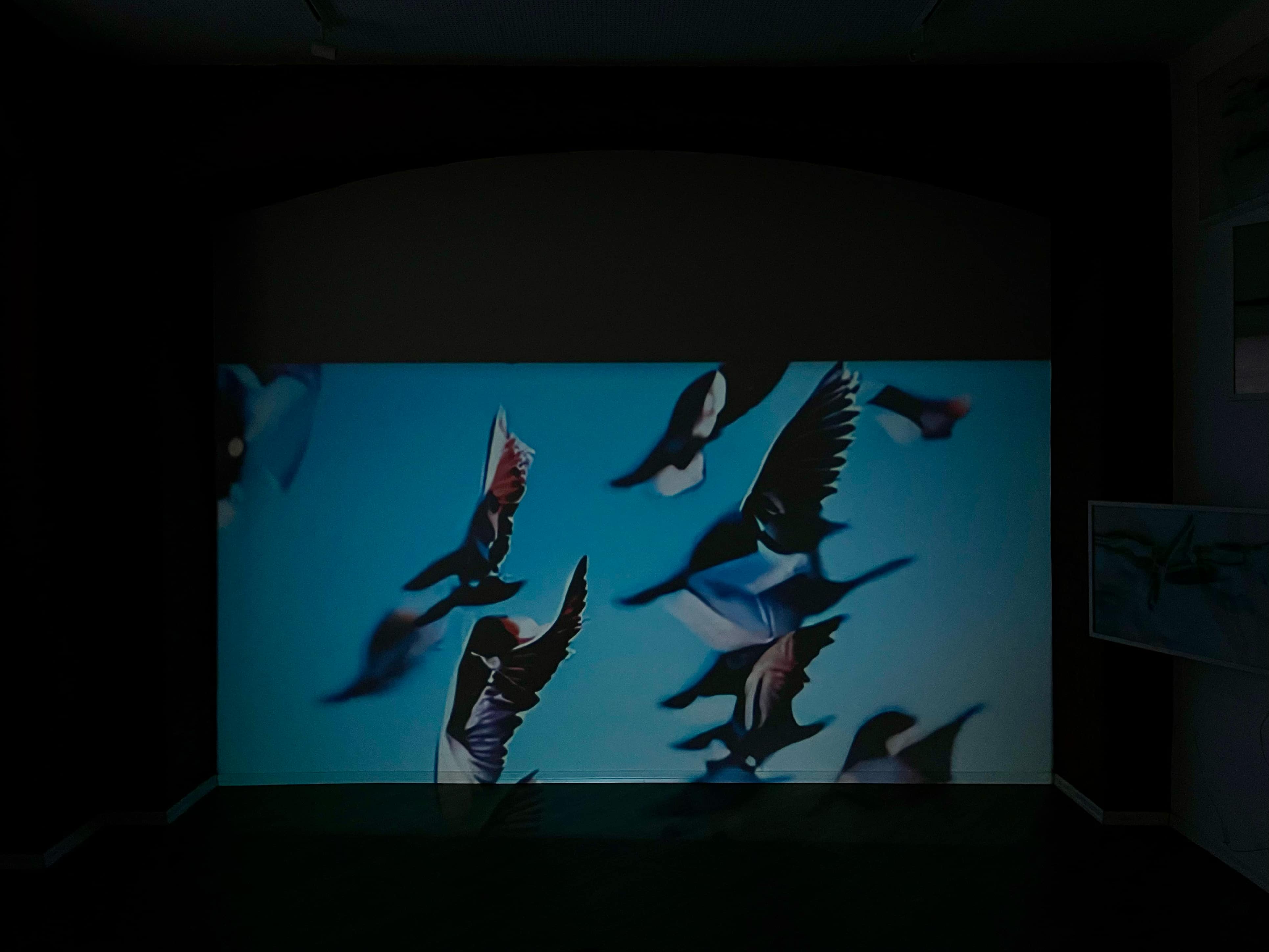 50f145f3-6974-49d2-bab4-b2f99089fcea