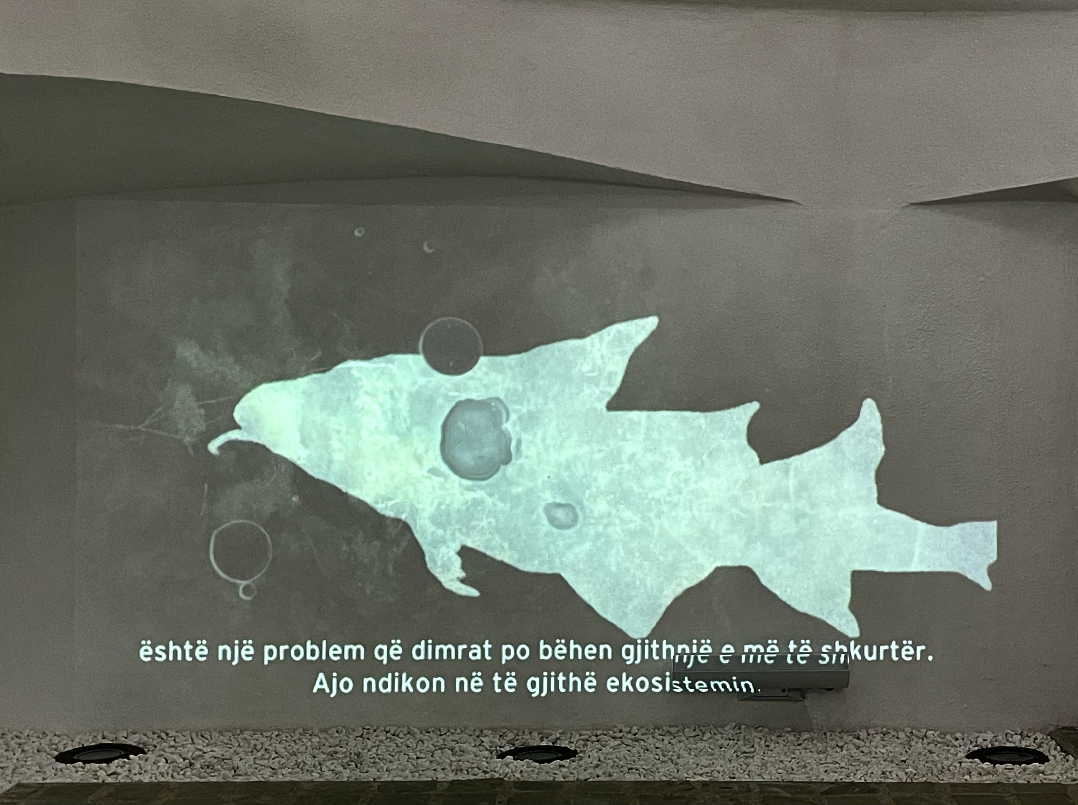 6723e2c1-87df-4087-9187-d7dc21a5be60