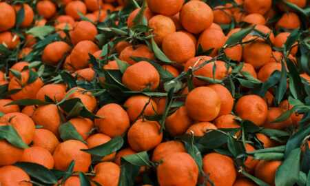 mandarine