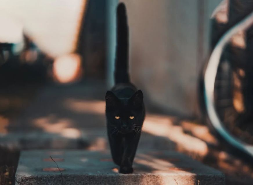 supersticion