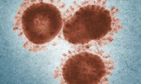 virus-kovid
