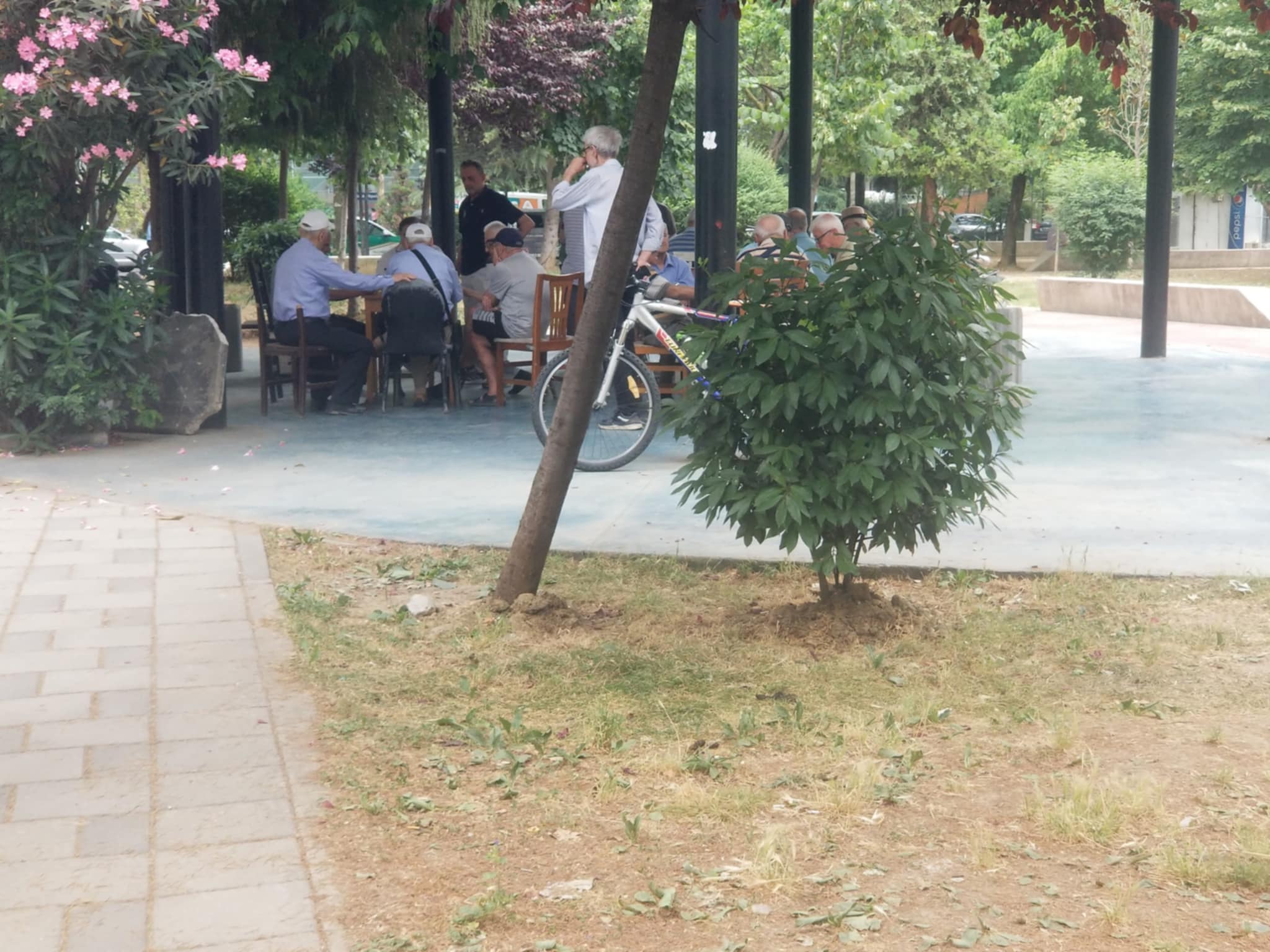 qytet-tirane-lulishte-1
