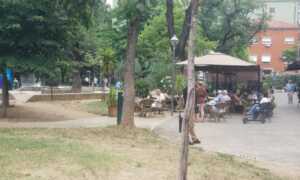 qytet-tirane-lulishte-3