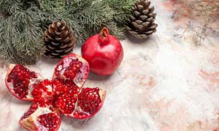 shega-tryeza-festive