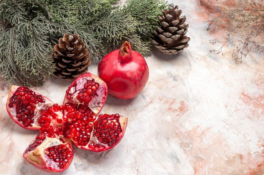 shega-tryeza-festive