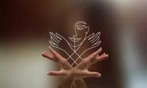 dita-boterore-e-te-drejtave-te-njeriut