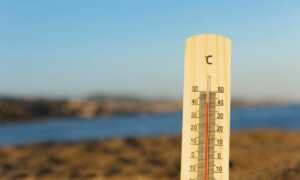 temperatura1vere