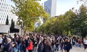 revolta-proteste